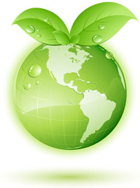 Sustainability & CSR